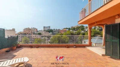 Apartment in El Terreno photo 3
