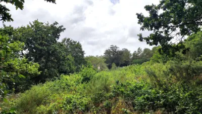 Terreno en venta en Calle Nabeiras - Vista 4