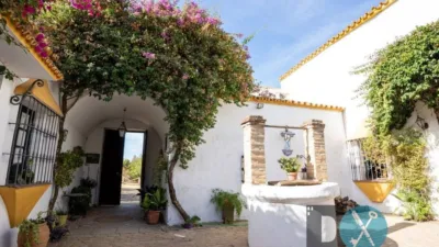 Rustic Finca in La Paz - Montecarmelo photo 16