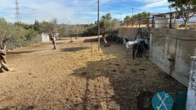 Rustic Finca in La Paz - Montecarmelo photo 54
