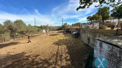 Rustic Finca in La Paz - Montecarmelo photo 55