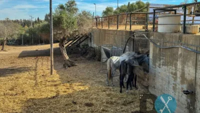 Rustic Finca in La Paz - Montecarmelo photo 56