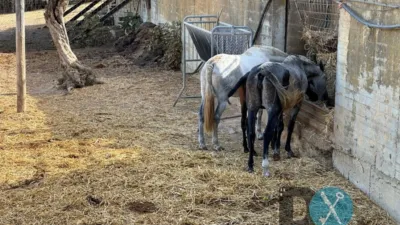 Rustic Finca in La Paz - Montecarmelo photo 57
