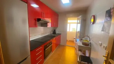Miniatura 11