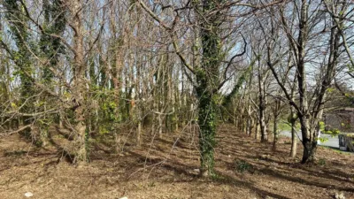 Terreno en venta en Calle Ac-116, Número 16 - Vista 2