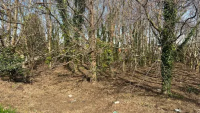 Terreno en venta en Calle Ac-116, Número 16 - Vista 3