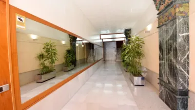 Piso en Centro Ejido photo 42