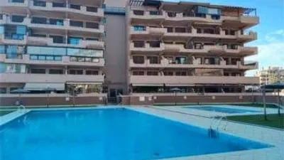 Apartment in Los Arenales del Sol photo 8