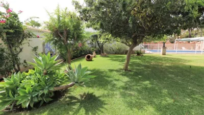 Chalet in Cabo Roig photo 12