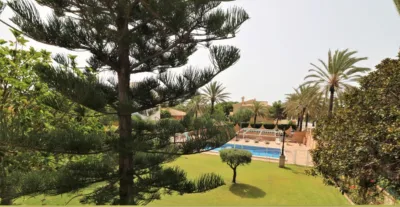 Chalet in Cabo Roig photo 57