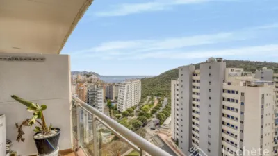 Penthouse on Avinguda Mestral photo 35