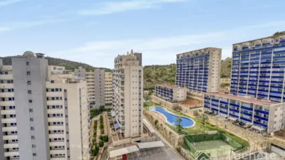 Penthouse on Avinguda Mestral photo 3