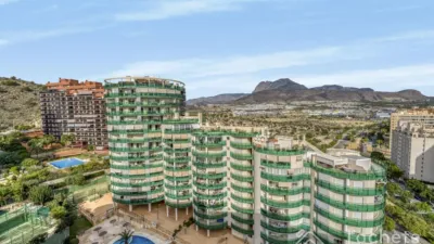 Penthouse on Avinguda Mestral photo 5