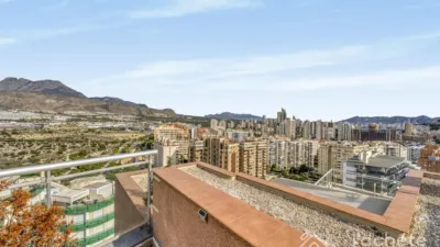 Penthouse on Avinguda Mestral photo 9