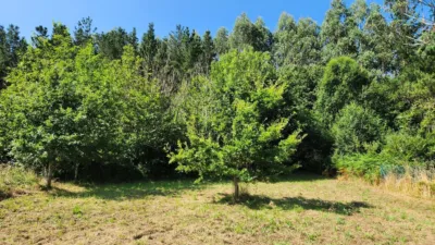 Terreno en venta en Calle Burricios, Número 0 - Més