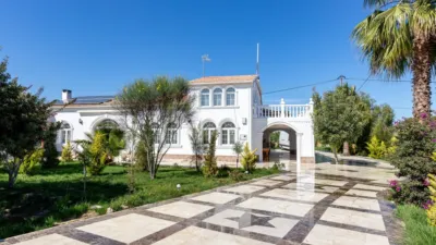 Casa – Elx - Elche - Vista 2