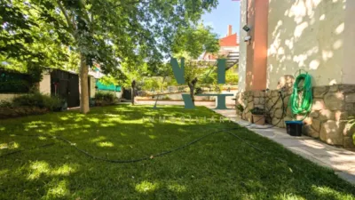 Chalet in Aguas Vivas photo 6