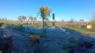 Rustic farm in Cáceres photo 19