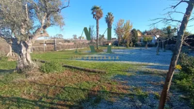 Rustic farm in Cáceres photo 9