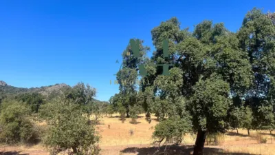 Finca rústica en venta en Carretera de Merida - Vista 4