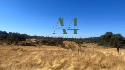 Finca rústica en venta en Carretera de Merida - Vista 5