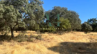 Finca rústica en venta en Carretera de Merida - Más