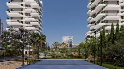 Apartment in Saladar photo 18