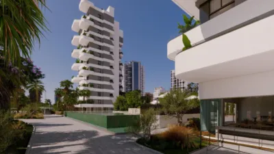 Apartment in Saladar photo 19