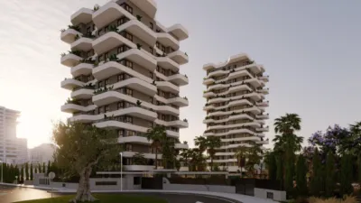 Apartment in Saladar photo 37