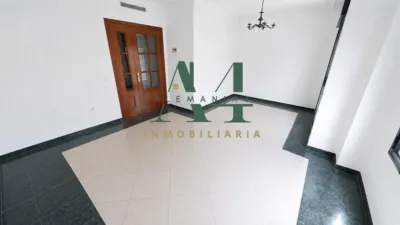 Apartment on Avenida de Alemania photo 2