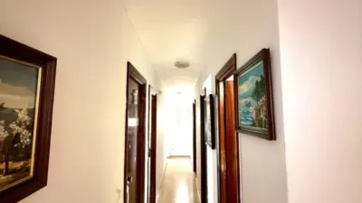 Apartment on Carrer de Guillem Forteza photo 11