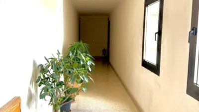 Apartment on Carrer de Guillem Forteza photo 5
