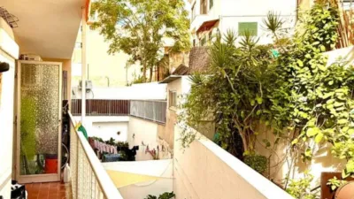 Apartment in El Terreno photo 11