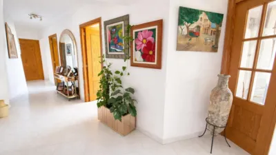 Apartment on Carrer del Comte de Barcelona photo 5