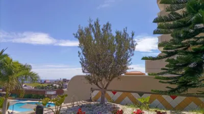 Apartment in Acantilado de los Gigantes photo 5