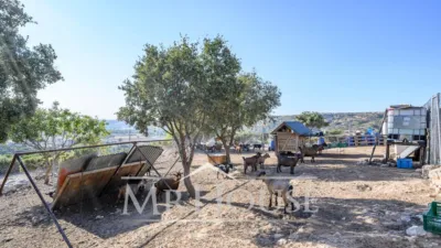Finca rústica en venta en Perales de Tajuña, Perales de Tajuña de 1.950.000 €