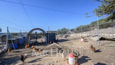 Finca rústica en venta en Perales de Tajuña, Perales de Tajuña de 1.950.000 €