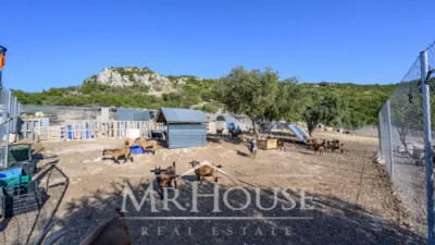 Finca rústica en venta en Perales de Tajuña, Perales de Tajuña de 1.950.000 €