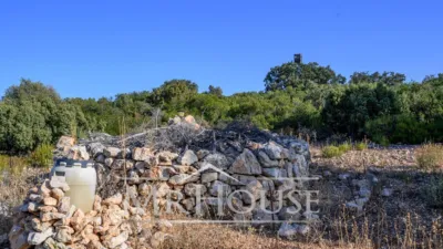 Finca rústica en venta en Perales de Tajuña, Perales de Tajuña de 1.950.000 €