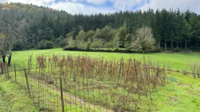 Rustic farm on Barrio Zulaaldea Street photo 23