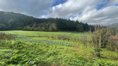 Rustic farm on Barrio Zulaaldea Street photo 28