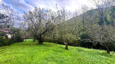 Rustic farm on Barrio Zulaaldea Street photo 29