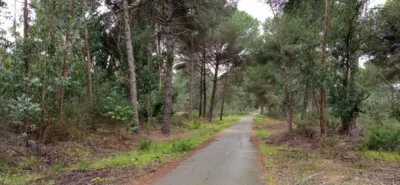 Rustic Finca in Fontanilla photo 4