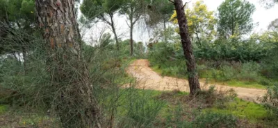 Finca rústica en Fontanilla photo 6