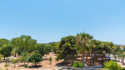 Chalet in Los Belones photo 17