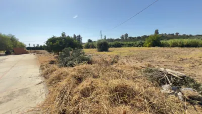 House in South Of Spain photo 40