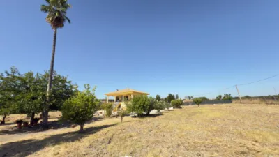House in South Of Spain photo 49