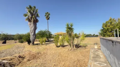 House in South Of Spain photo 60
