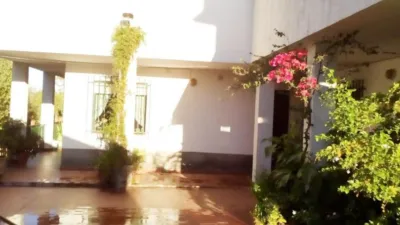 Rustic Finca in Andalucia photo 10
