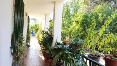 Rustic Finca in Andalucia photo 15